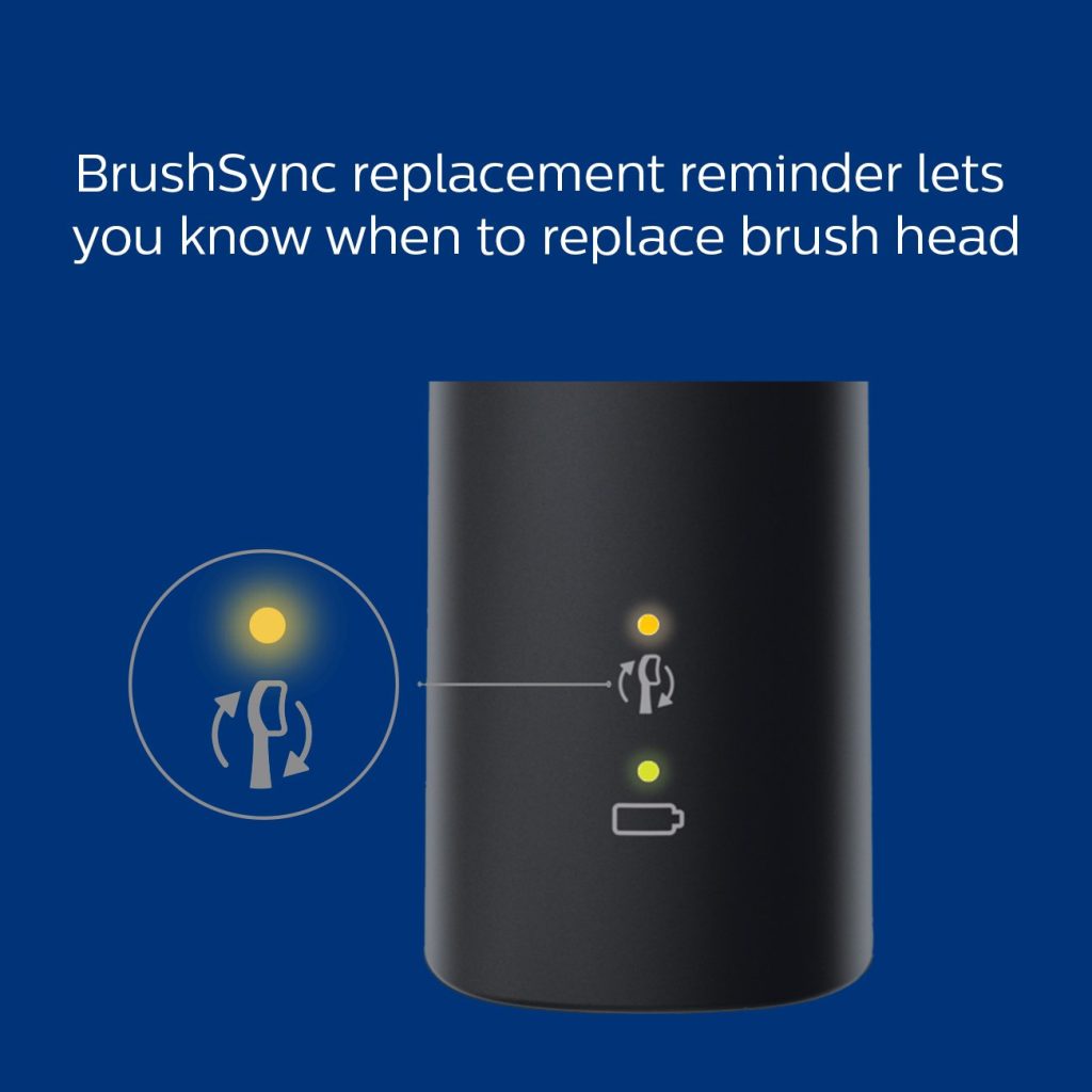 Philips Sonicare Protective Clean 6100 Navy Blue and 2 pack Premium Plaque Control Brush Head Bundle
